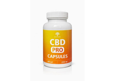 CBD 250 мг Премиум — 100 капсул. Высокая концентрация для спокойствия и восстановления