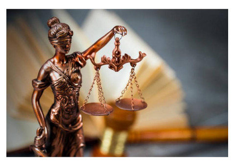 Адвокат по семейным делам Виноградарь. Развод через суд